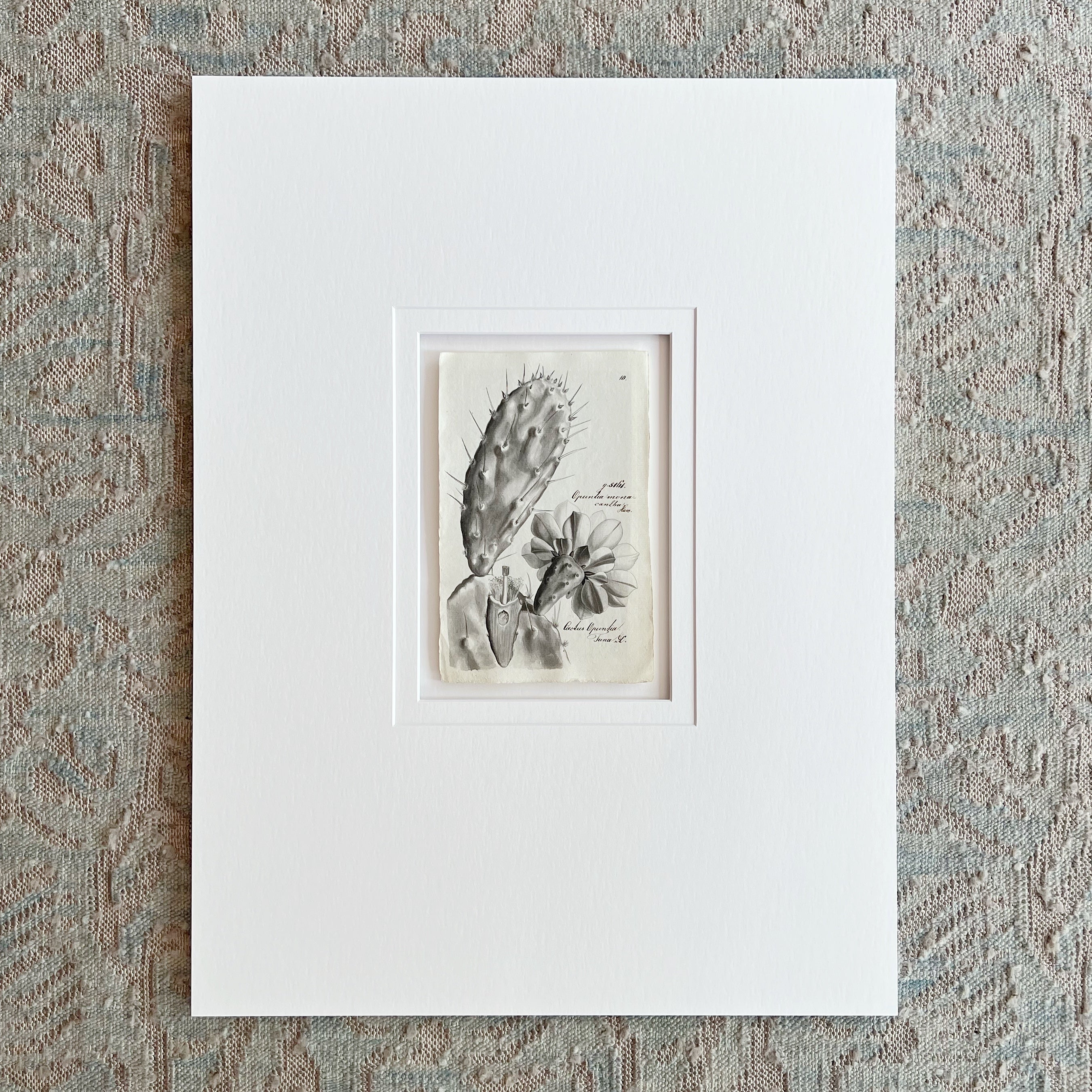 Original Weiss Botanical Painting 186272 (29) Prints Charming Soho