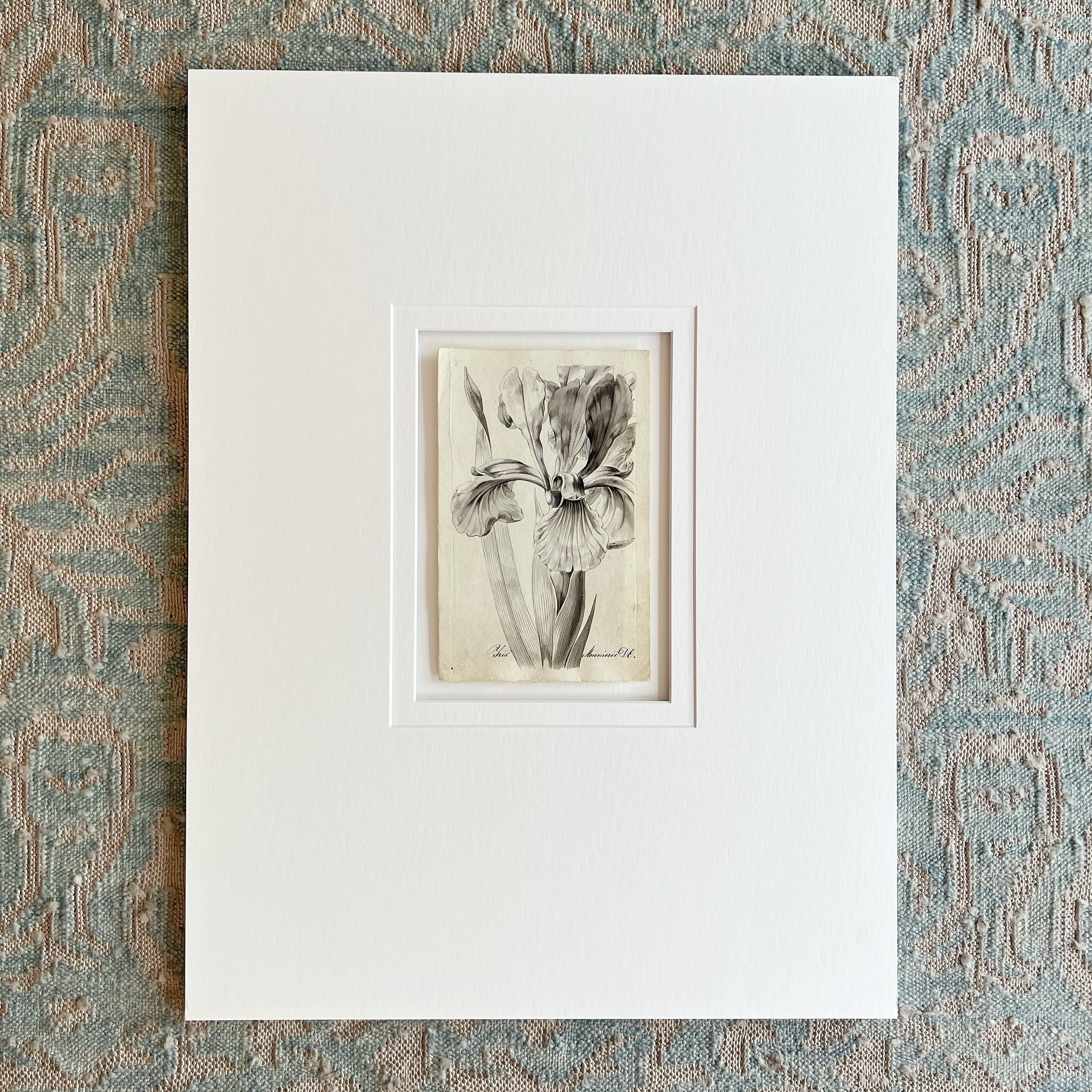 Original Weiss Botanical Painting 186272 (42) Prints Charming Soho