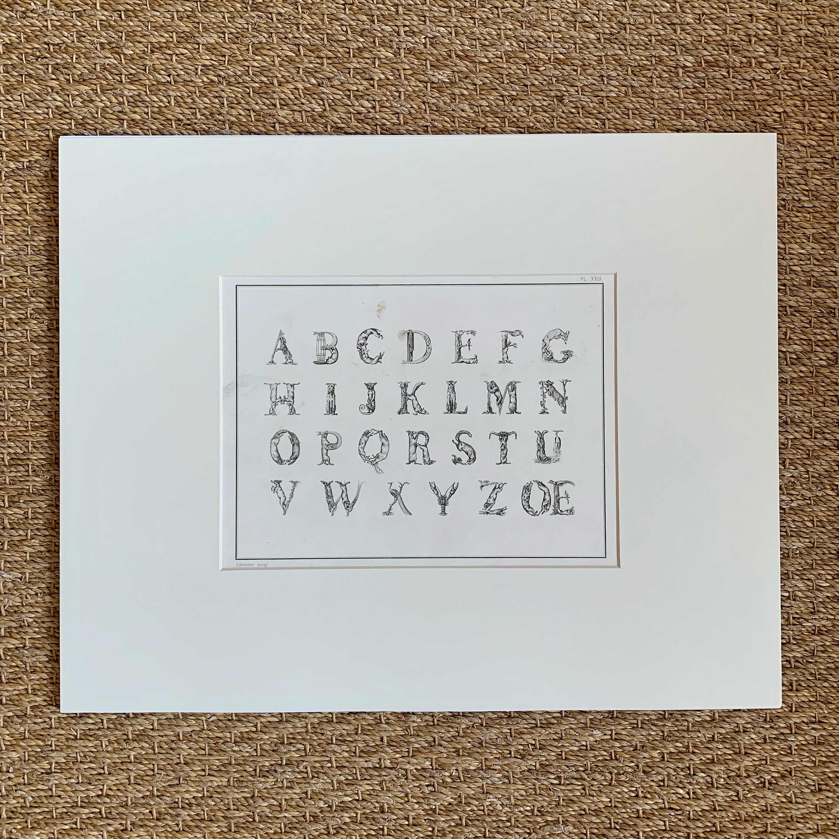 19th Century Alphabets Matted 4 Prints Charming Soho