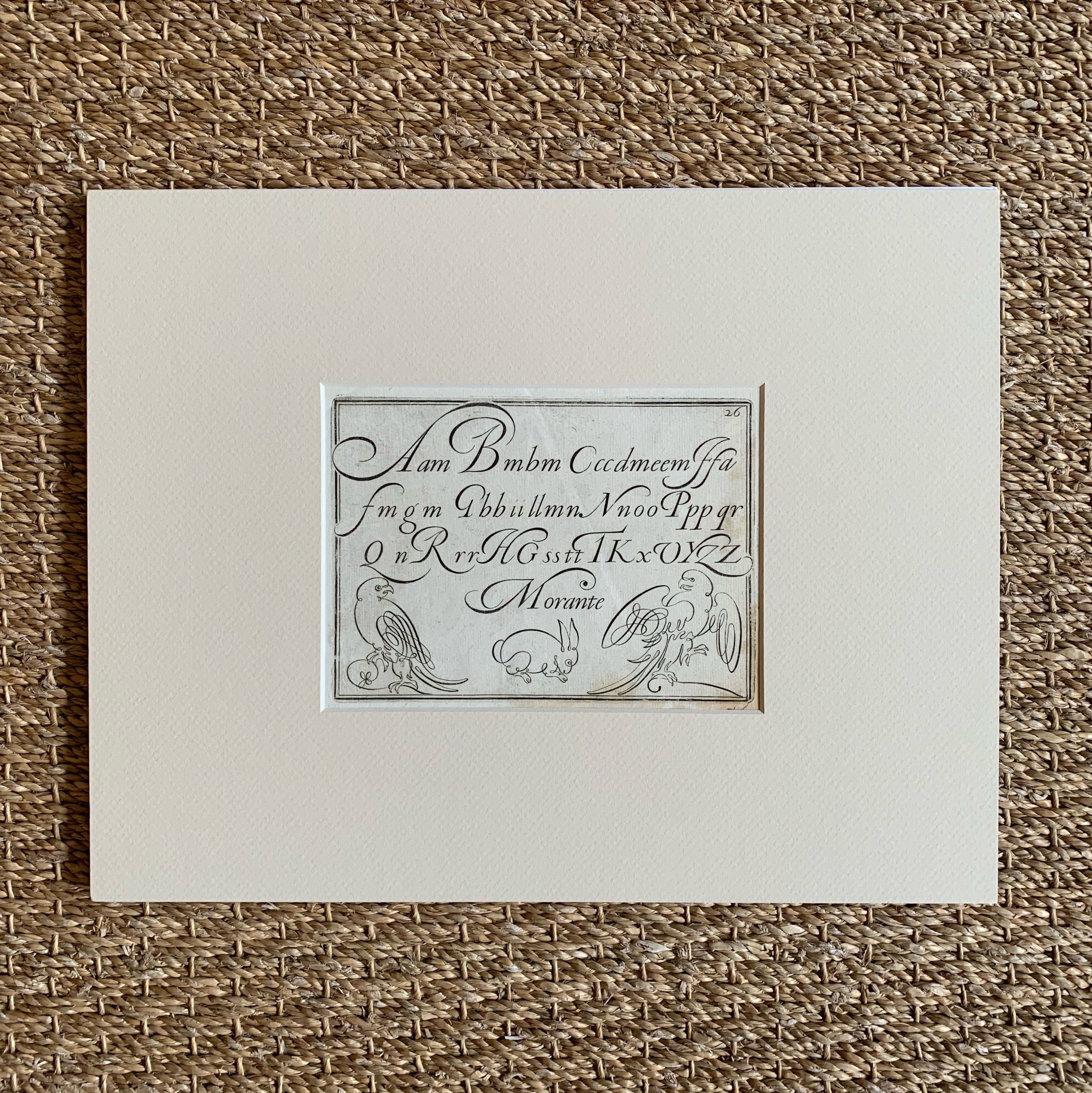 17th Century Alphabets and Calligraphy Matted 1 Prints Charming Soho