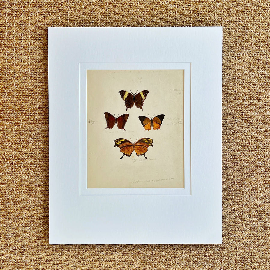1930s Watercolor Butterflies Matted 10