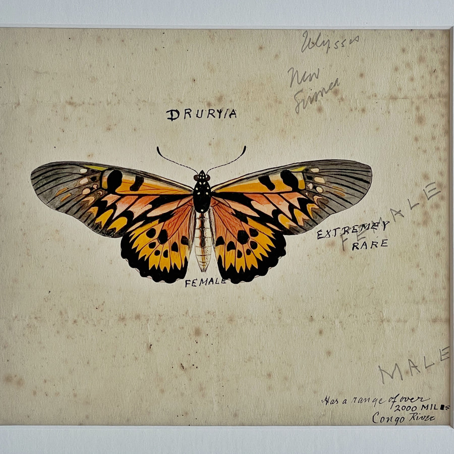 1930s Watercolor Butterflies Matted 11