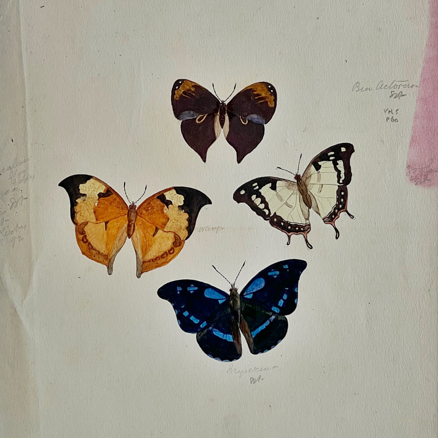 1930s Watercolor Butterflies Matted 12