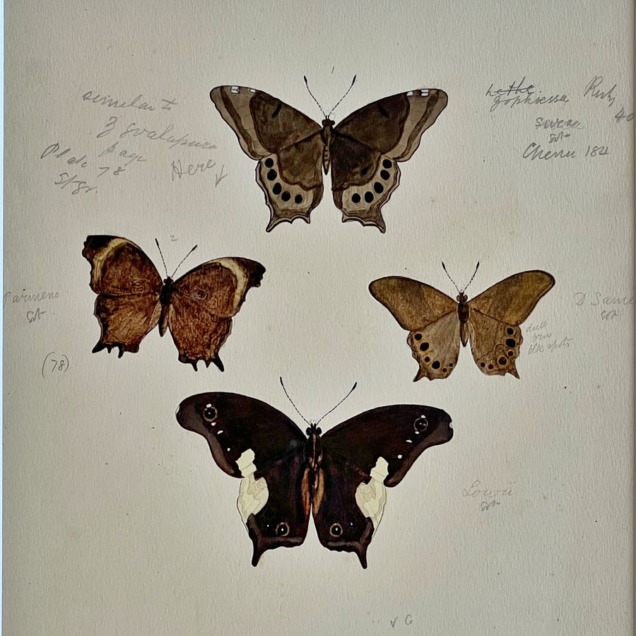 1930s Watercolor Butterflies Matted 13