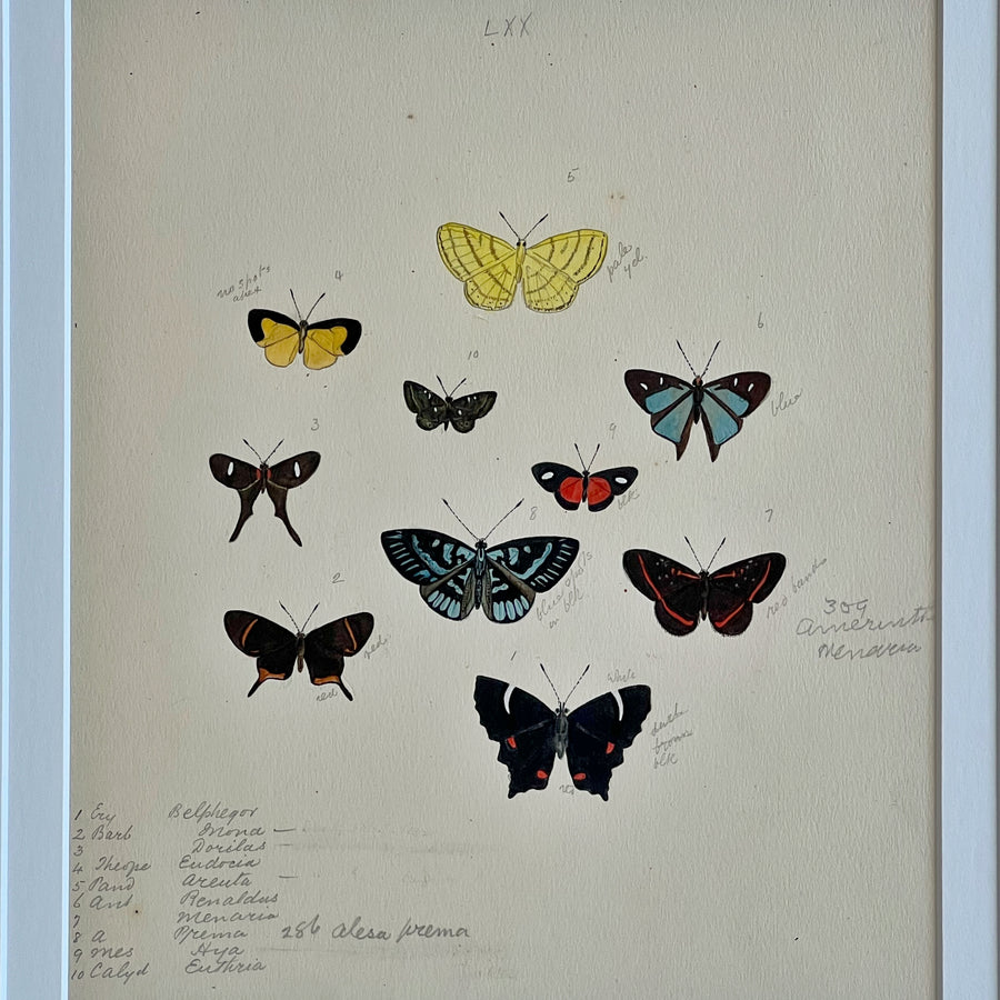 1930s Watercolor Butterflies Matted 14