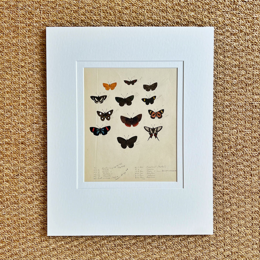 1930s Watercolor Butterflies Matted 16