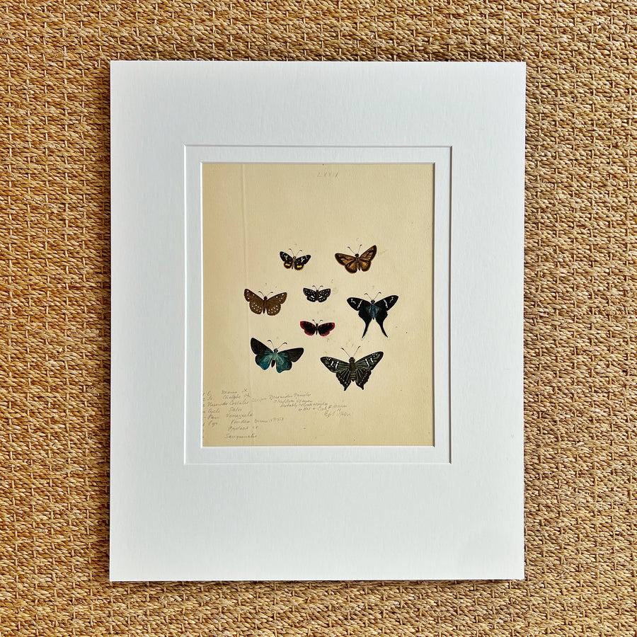 1930s Watercolor Butterflies Matted 19