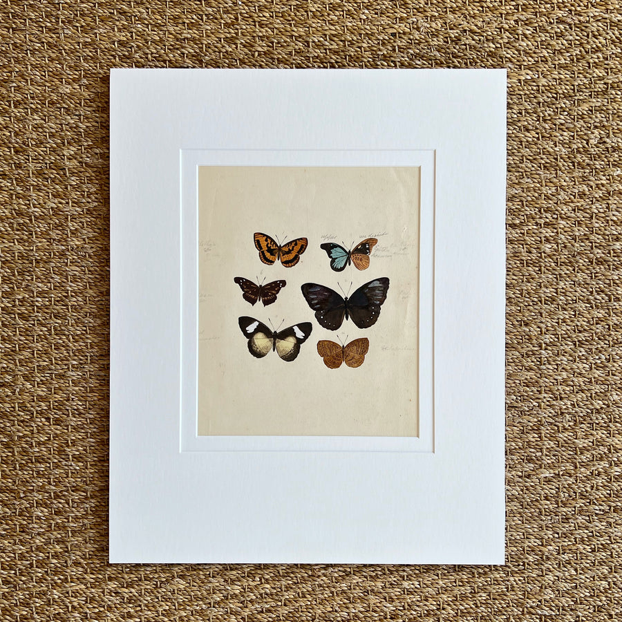 1930s Watercolor Butterflies Matted 1