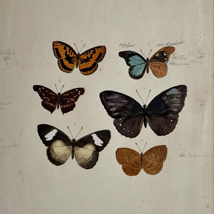 1930s Watercolor Butterflies Matted 1