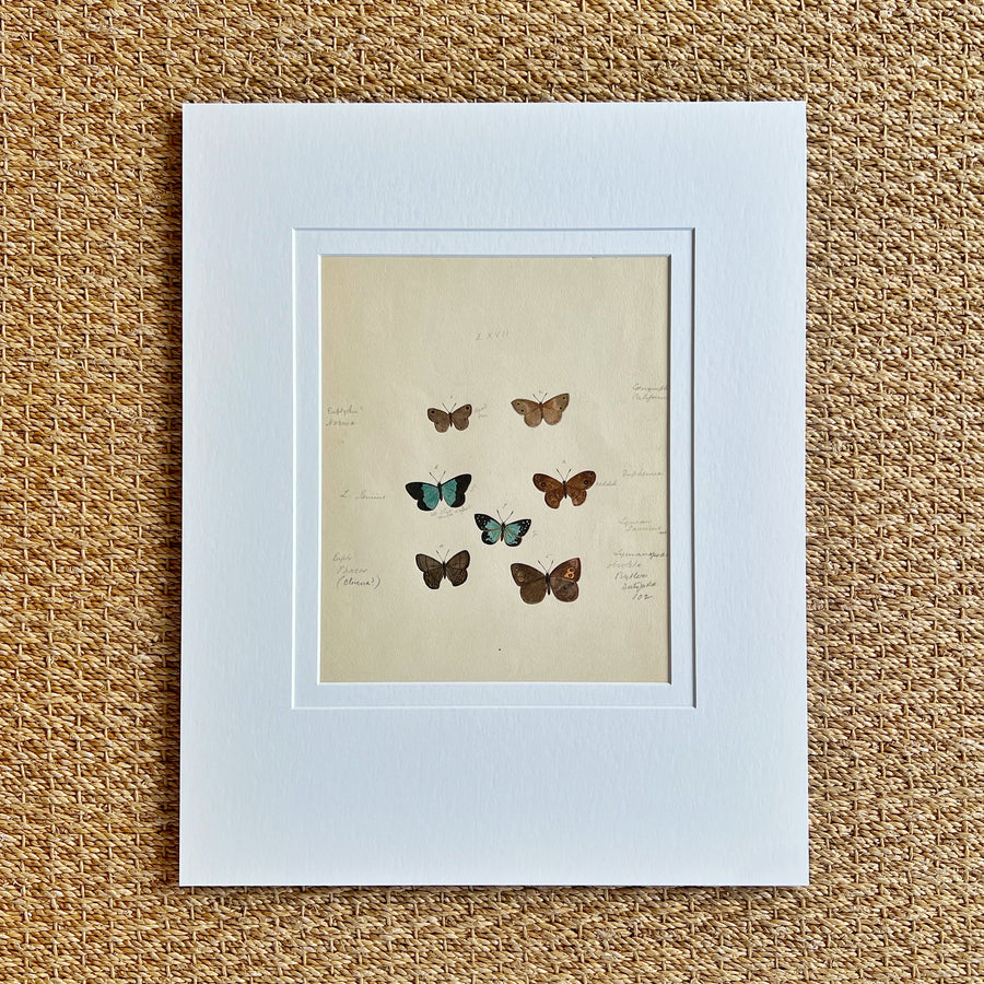1930s Watercolor Butterflies Matted 22