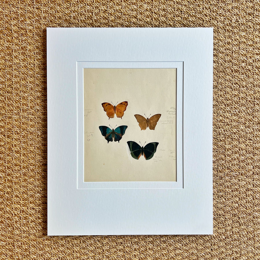 1930s Watercolor Butterflies Matted 23