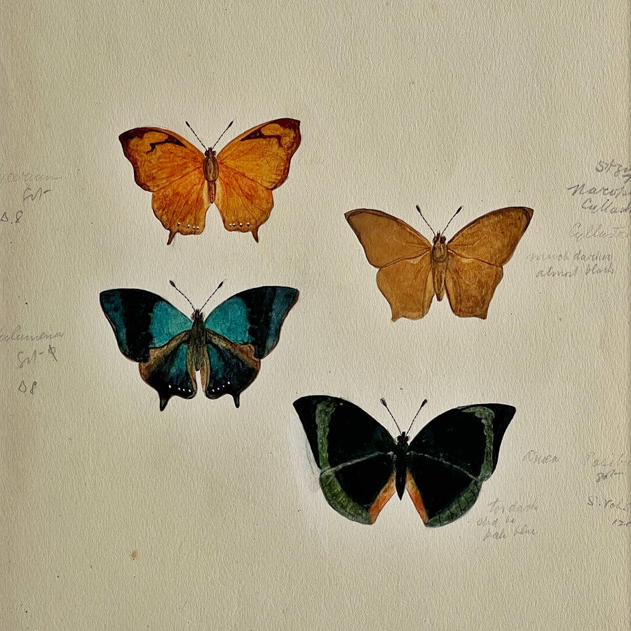 1930s Watercolor Butterflies Matted 23