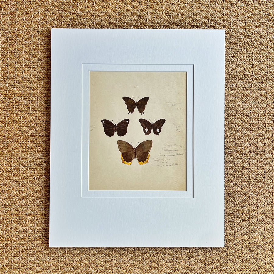 1930s Watercolor Butterflies Matted 24