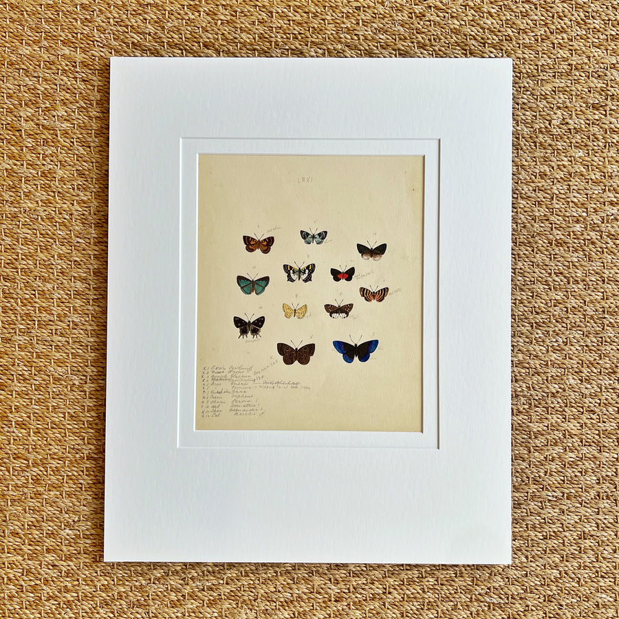 1930s Watercolor Butterflies Matted 26