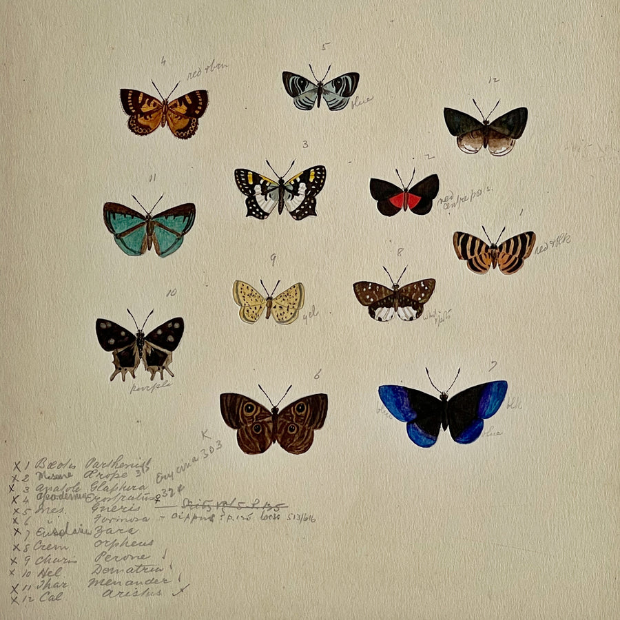 1930s Watercolor Butterflies Matted 26