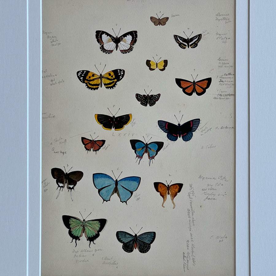 1930s Watercolor Butterflies Matted 5