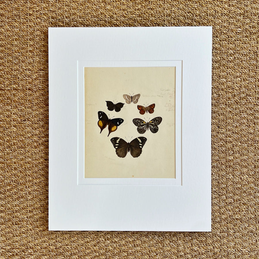 1930s Watercolor Butterflies Matted 6