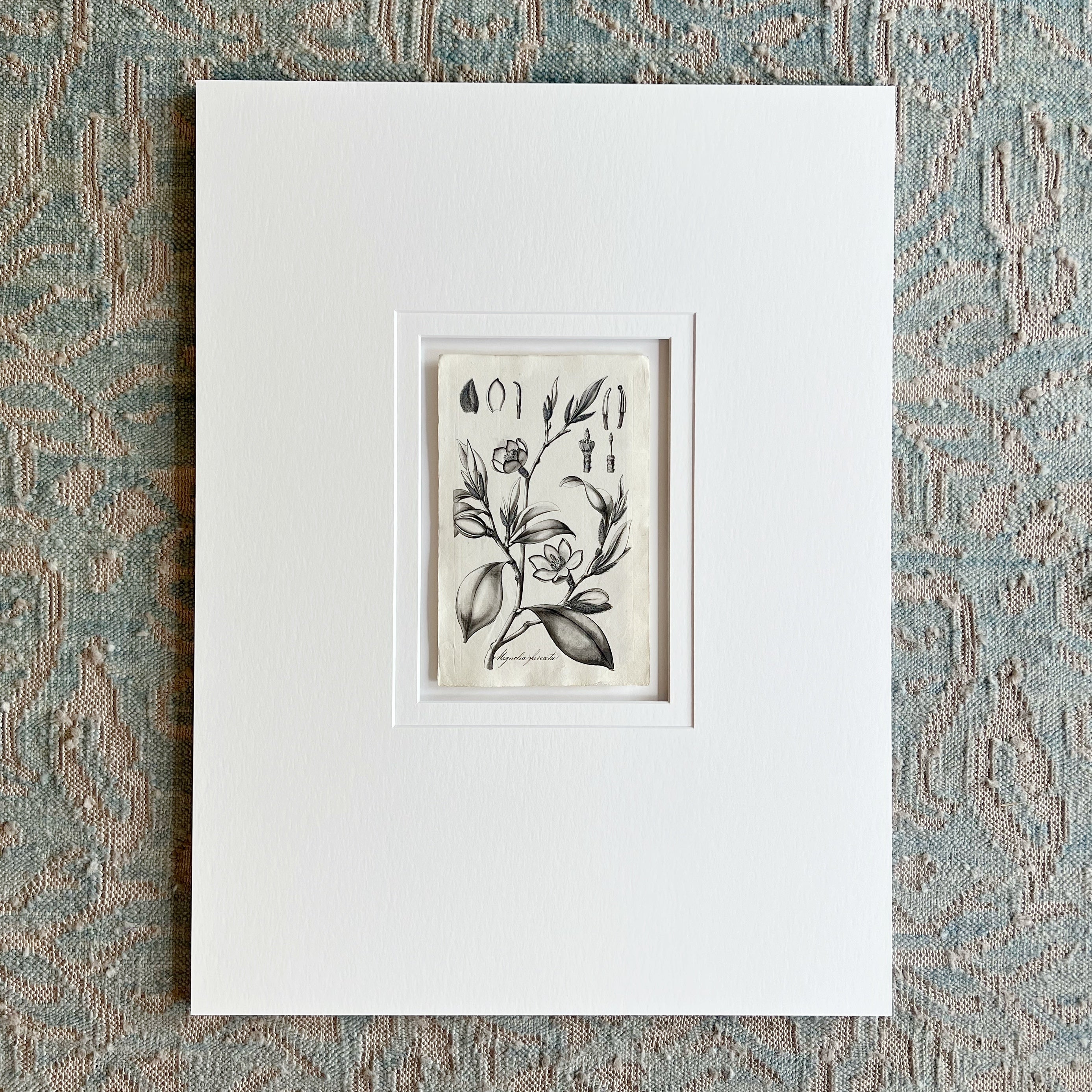 Original Weiss Botanical Painting 186272 (36) Prints Charming Soho