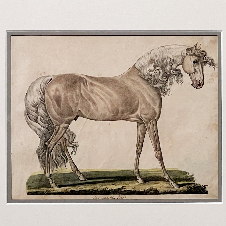 C. 1800s Animal Illustrations Framed 1
