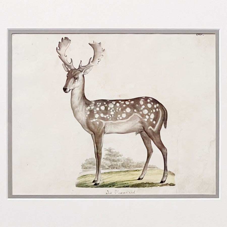 C. 1800s Animal Illustrations Framed 10