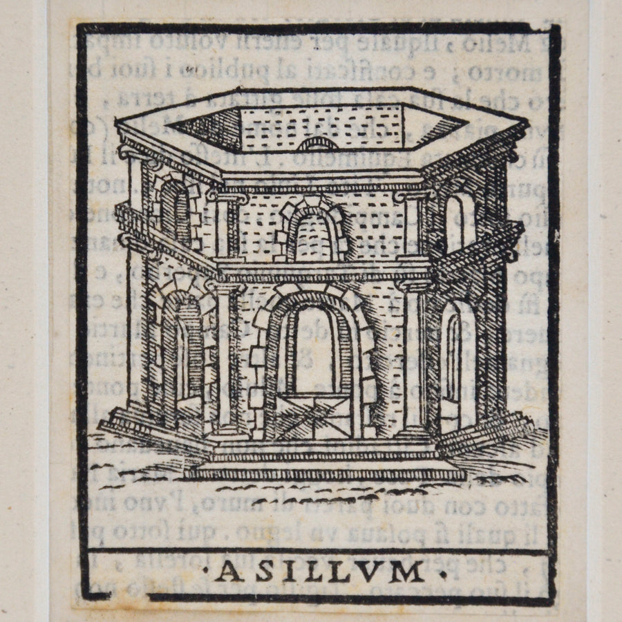 16th Century Italian Architecture Asillum Matted