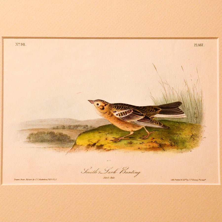 Audubon Birds of America (First Edition Octavo) Game Birds