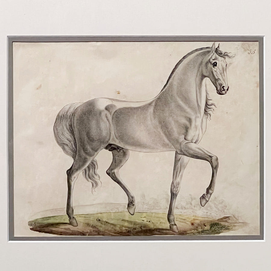 C. 1800s Animal Illustrations Framed 6