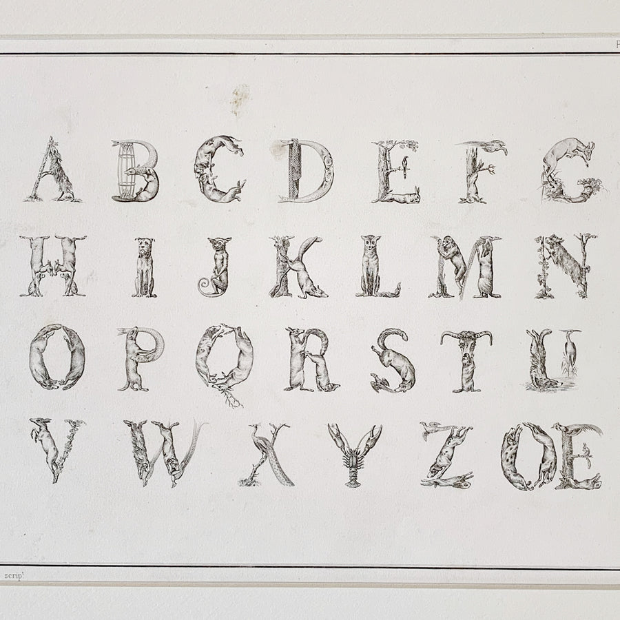 19th Century Alphabets Matted 4