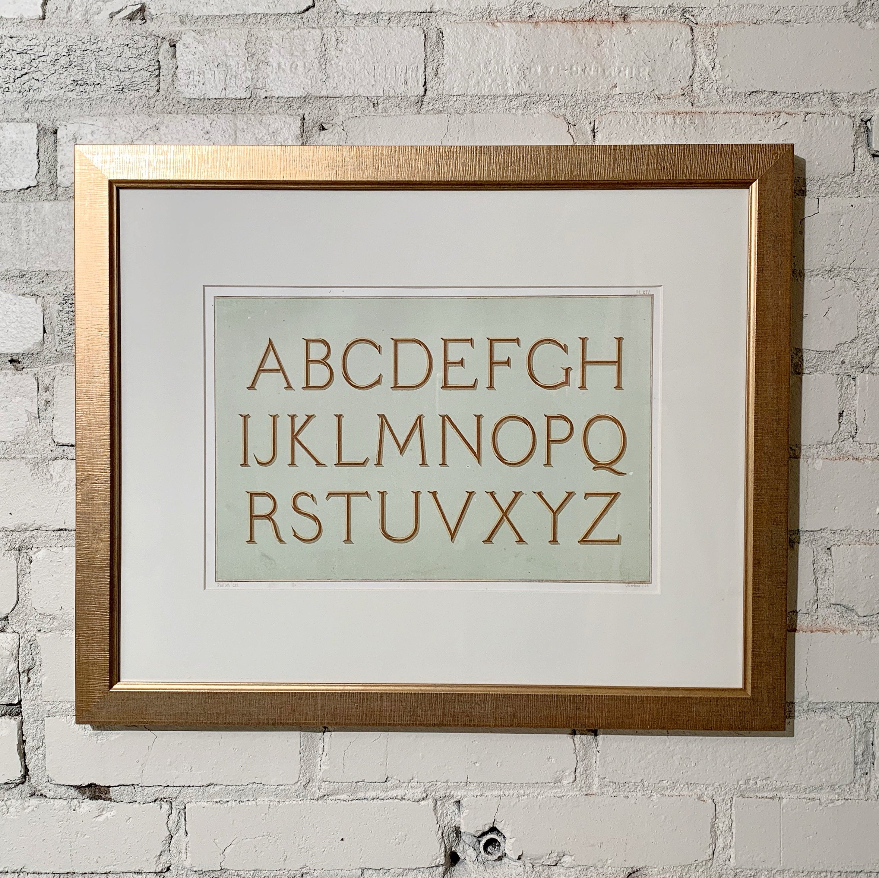 19th Century Chromolithograph Alphabets Framed 2 Prints Charming Soho