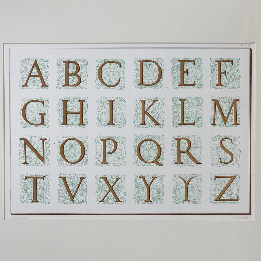 19th Century Chromolithograph Alphabets Framed 4