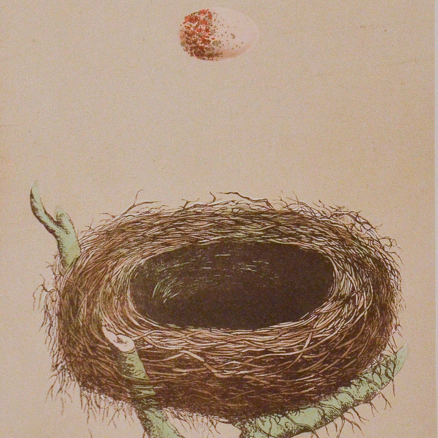 Morris Nests of British Birds (Matted)